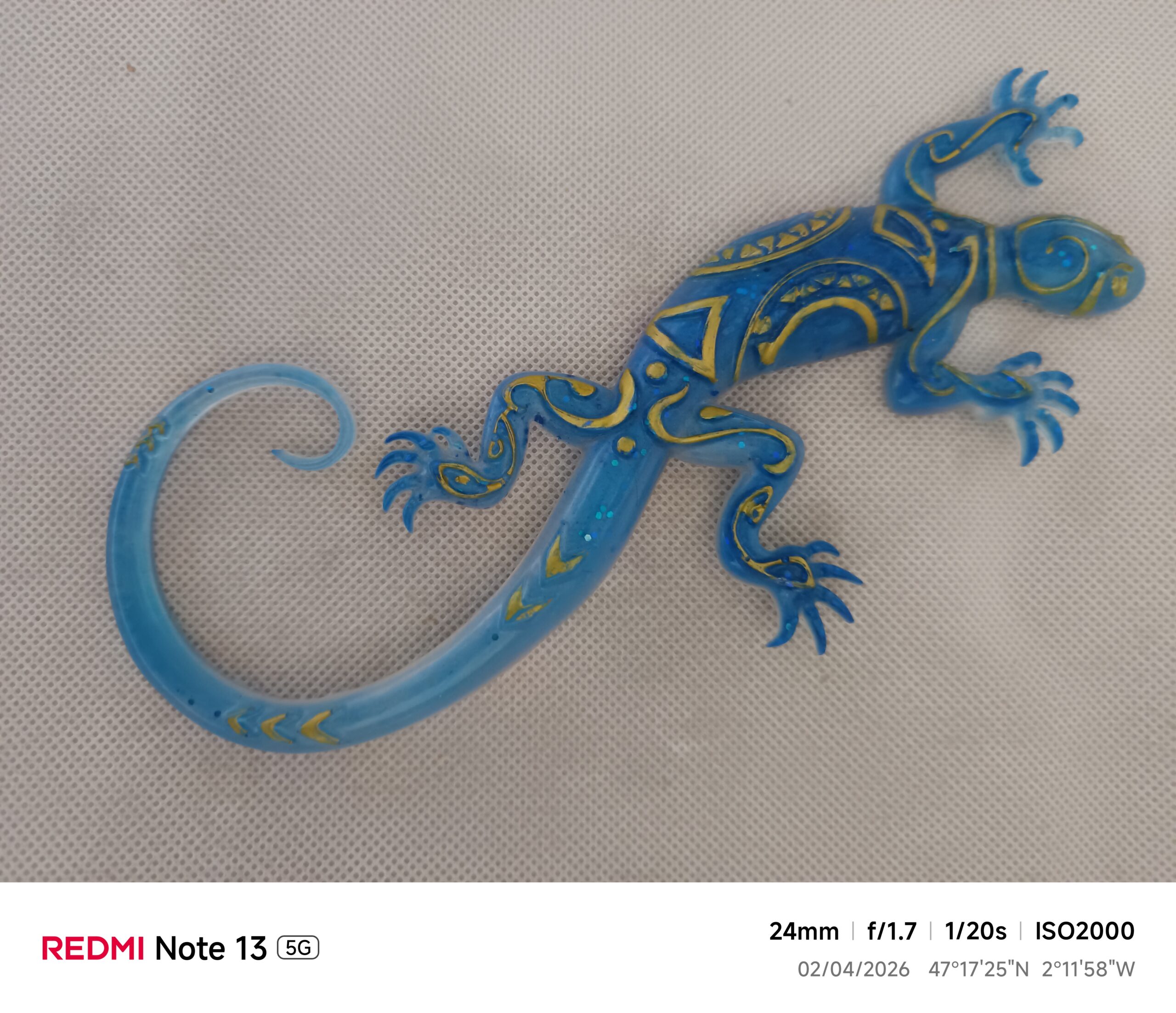 Salamandre bleu roi – Image 3