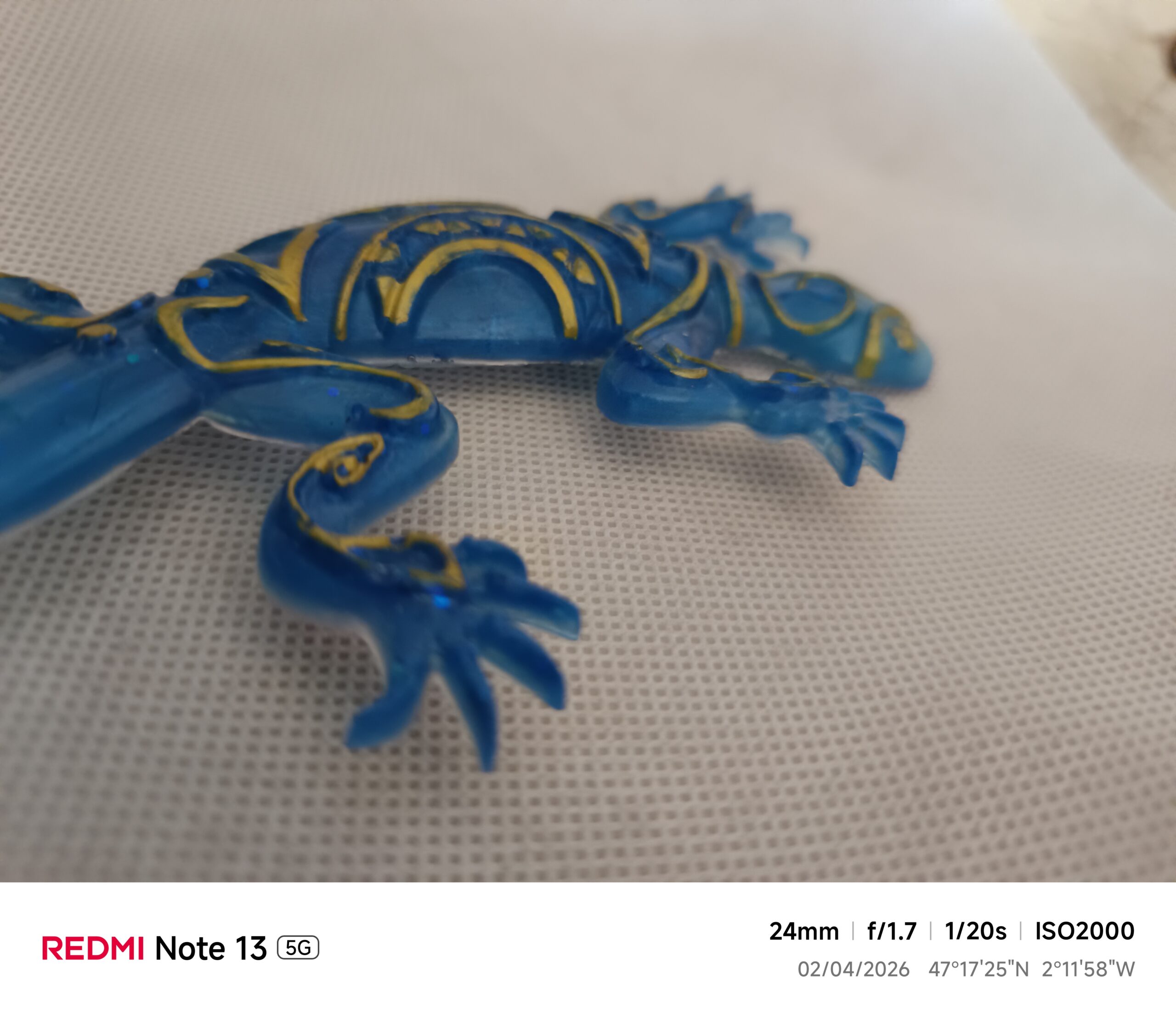 Salamandre bleu roi – Image 4