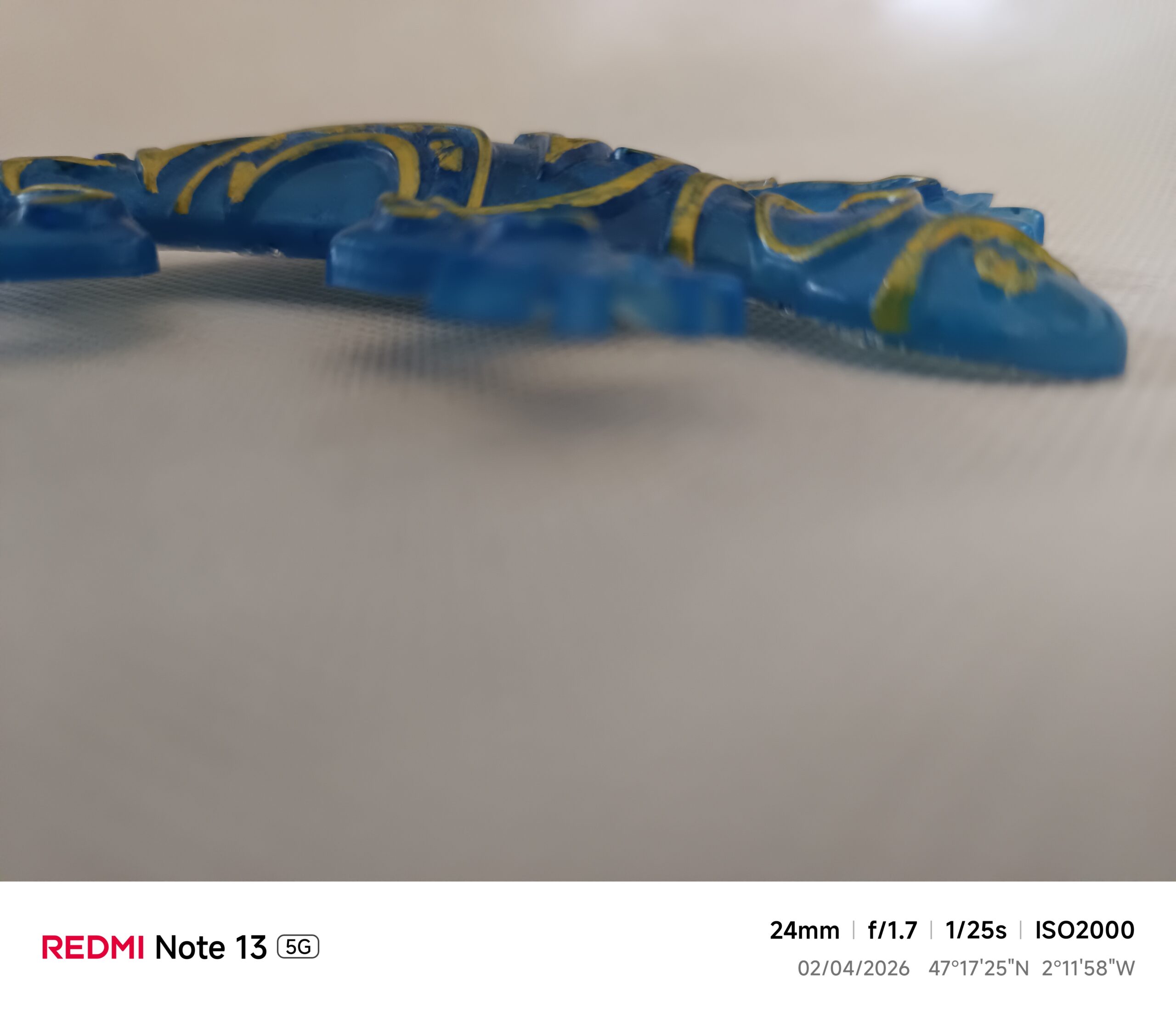Salamandre bleu roi – Image 5