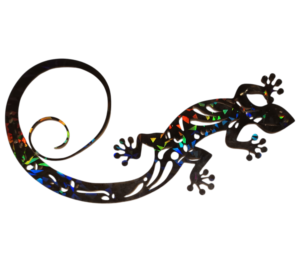 transparence salamandre noire 30cm-Photoroom