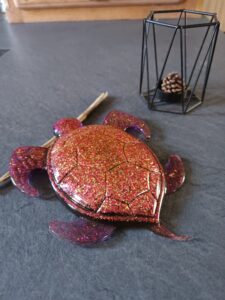 IMG_20251025_110649 - Copie